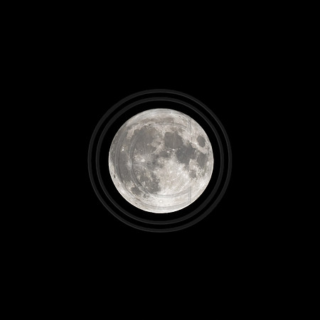 Rare Friday the 13th Harvest Moon ©PicsbyJax-7951.jpg