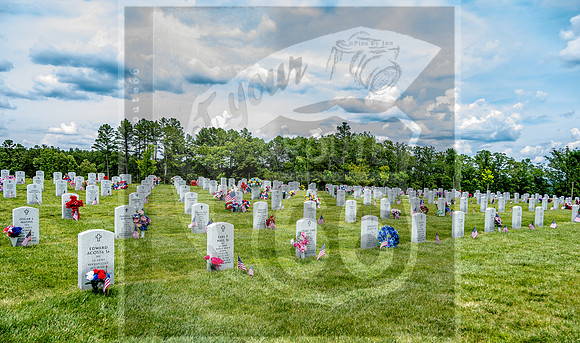 Memorial Day 2016 ©PicsbyJax mssouriveteranscemetery gratefulnation respect honor reflect waynevillemo flw-4153.jpg