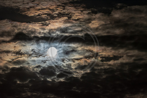 Rare Friday the 13th Harvest Moon ©PicsbyJax-7857.jpg
