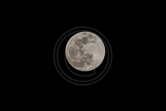 Snow Moon 02082020 © PicsbyJax-2977.jpg