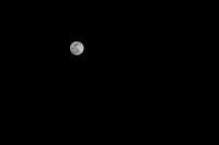 Snow Moon 02082020 © PicsbyJax-2993.jpg
