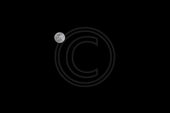Snow Moon 02082020 © PicsbyJax-2993.jpg