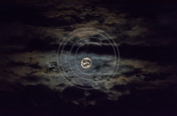 Rare Friday the 13th Harvest Moon ©PicsbyJax-7858.jpg