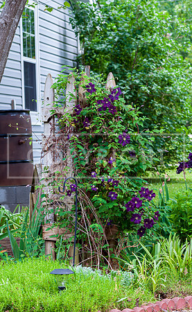 McCouch (c)PicsbyJax-0344.jpg