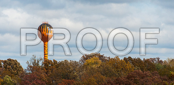 Tiger Tower-7712.jpg