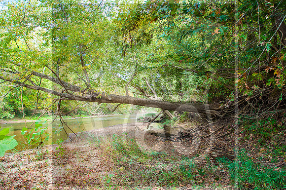 untitled-4676.jpg