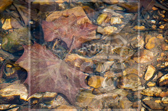 untitled-4667.jpg