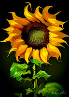 1C4FF596-F804-4552-A81E-FCF2D87C275B