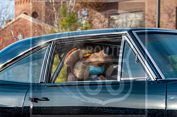 Christmas Parade 2022 © Pics by Jax-0168.jpg