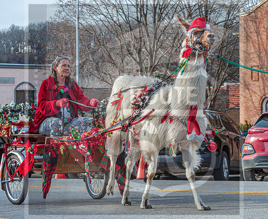 Christmas Parade 2022 © Pics by Jax-0254.jpg