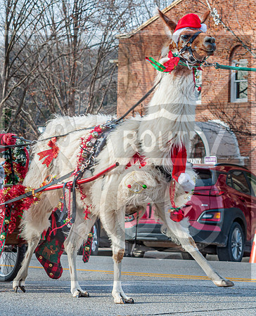 Christmas Parade 2022 © Pics by Jax-0255.jpg