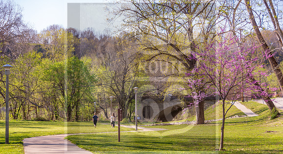 Roy Laughlin Park - Bridge-