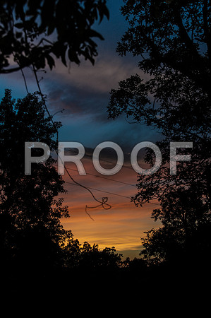 untitled-0394.jpg