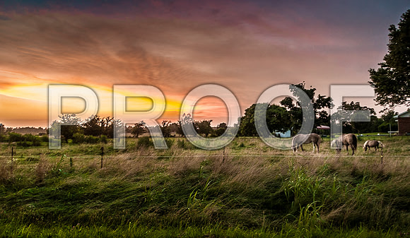 NCRoadTrip15-0531.jpg