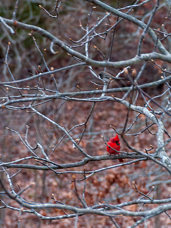 DSC_0054.jpg