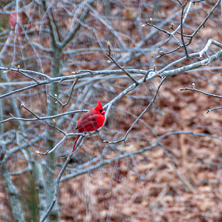 DSC_0058.jpg