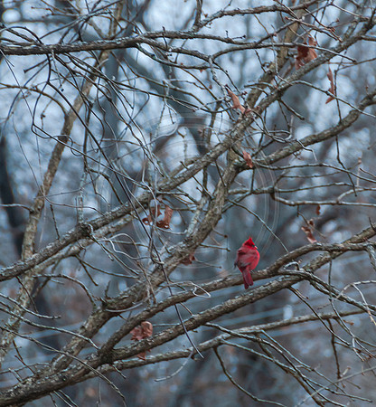 DSC_0059.jpg