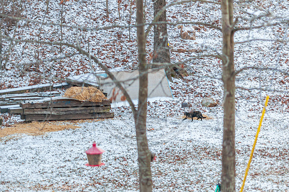 DSC_0111.jpg