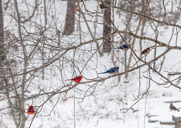 DSC_0148.jpg