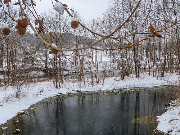 PicsbyJax-1130036.jpg