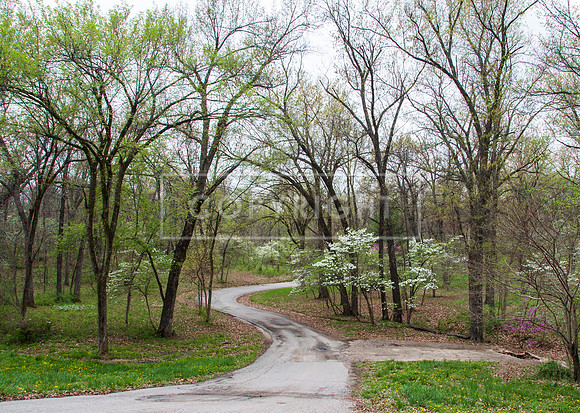 Waynesville Spring PicsbyJax-0708.jpg