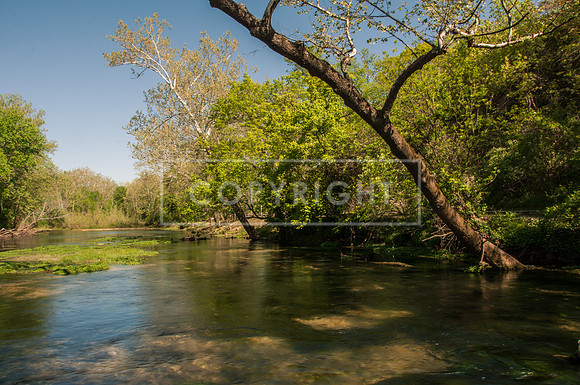 Roubidoux Creek -0114.jpg