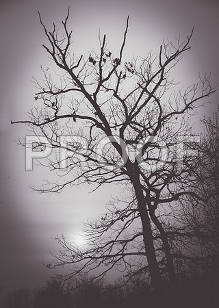 Winter-0284.jpg