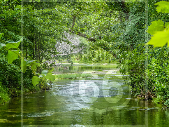 22403159961_b55b5547b3_o.jpg