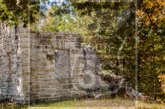 DSC_0012.jpg