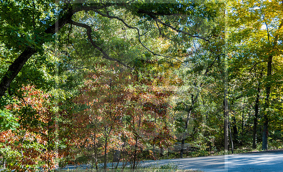 DSC_0095.jpg