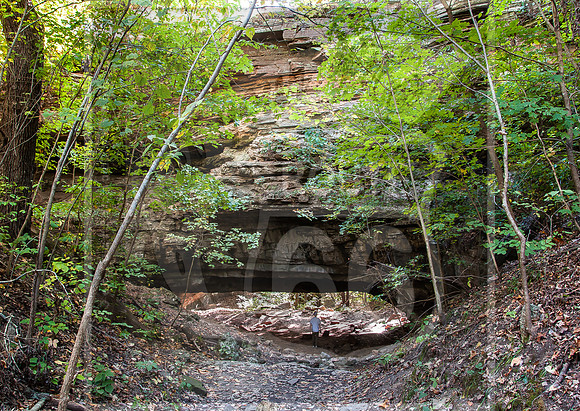 DSC_0101-2.jpg