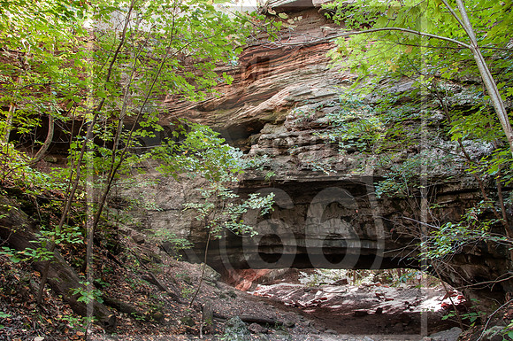 DSC_0103.jpg