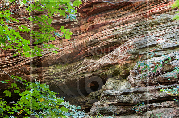 DSC_0104.jpg