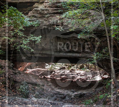 DSC_0107.jpg