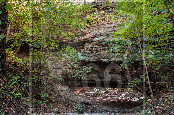 DSC_0108-2.jpg