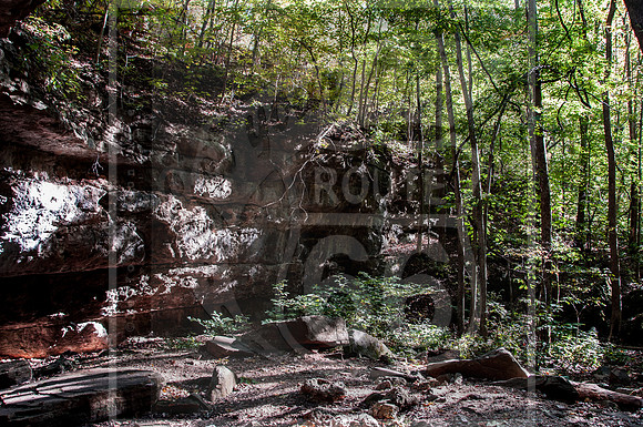DSC_0117.jpg