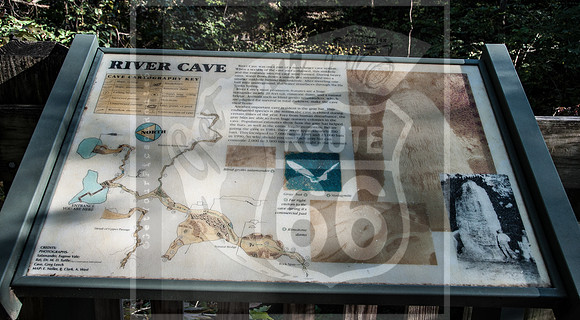 DSC_0122.jpg