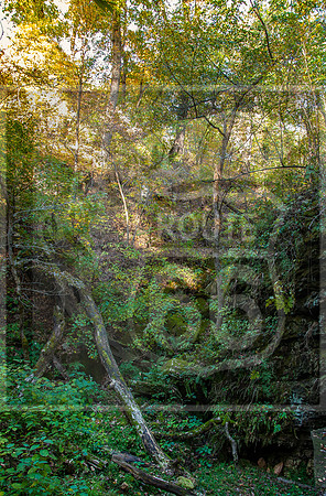 DSC_0151.jpg