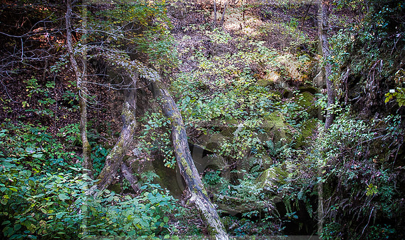 DSC_0152-2.jpg