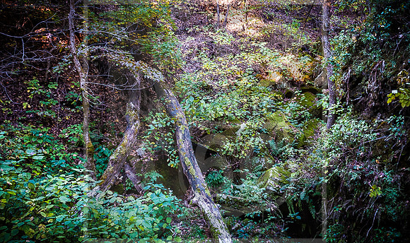 DSC_0152.jpg