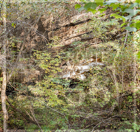 DSC_0158.jpg