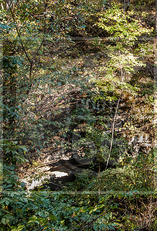 DSC_0159.jpg