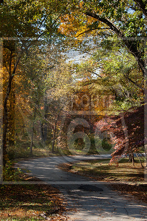 DSC_0342-2.jpg