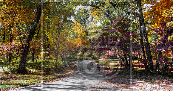 FallPathHoriz!_0349.jpg