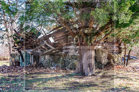 Abandoned (c)PicsbyJax-0516.jpg