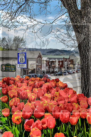 Waynesville Route 660498.jpg