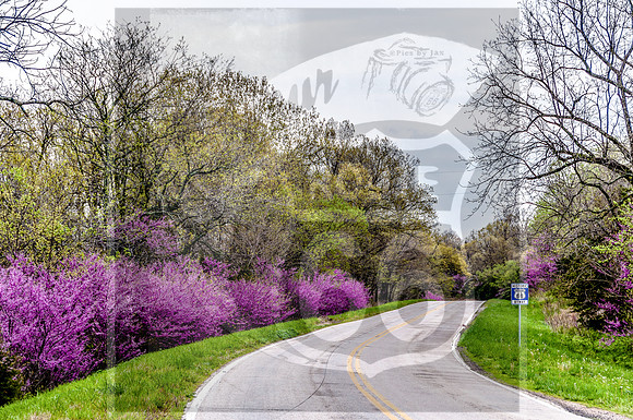 FLW Memorial Park-0842-2.jpg