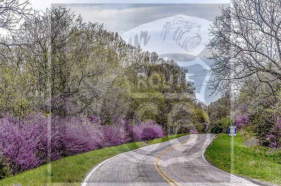 Route 66 Redbuds 16-2.jpg