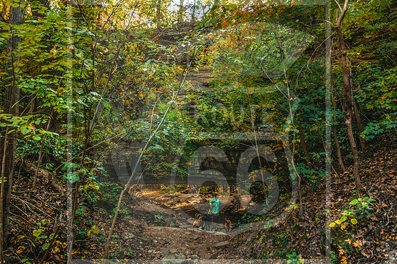 Ha Ha Tonka 2015-5478.jpg