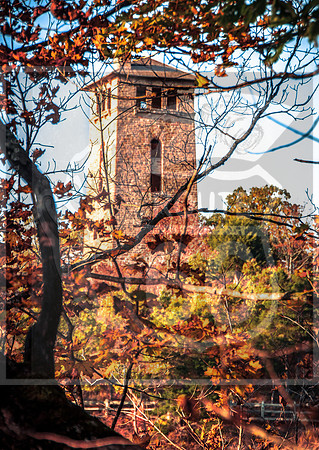 Ha Ha Tonka 2015-5582.jpg